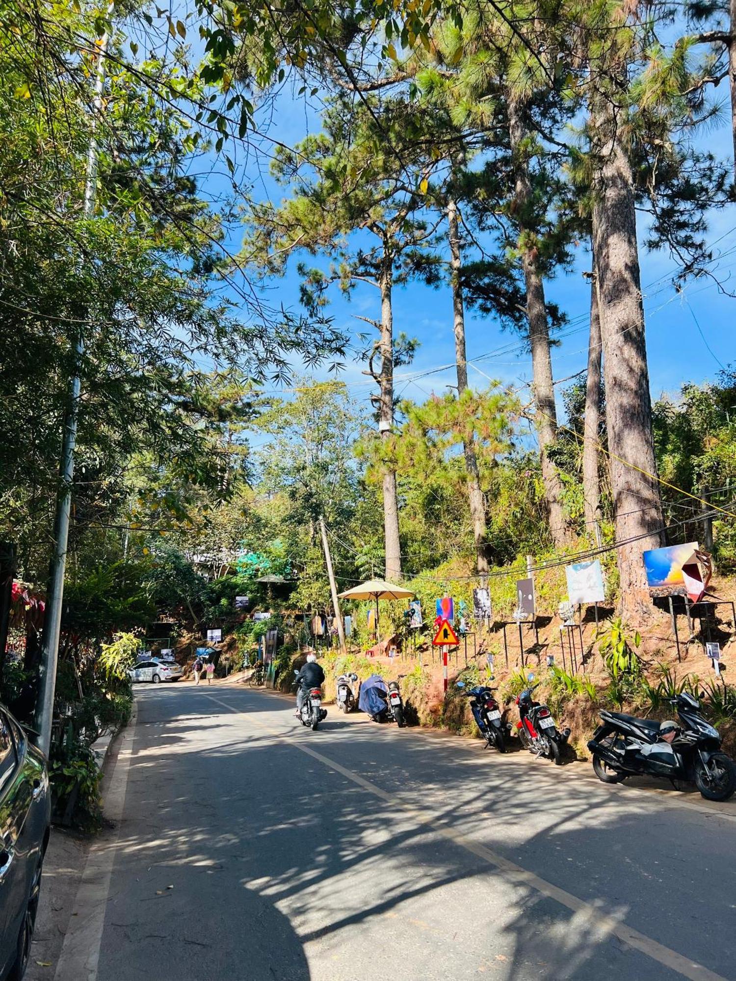 Nature Hotel - Dalat 3 Eksteriør bilde
